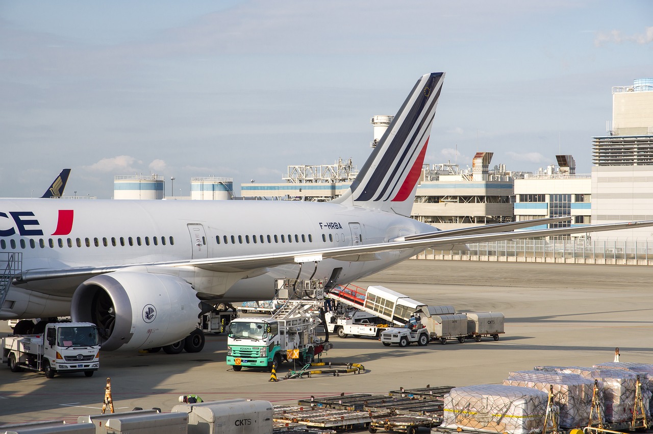 plane, airport, transport, freight, baggage, air france, flight